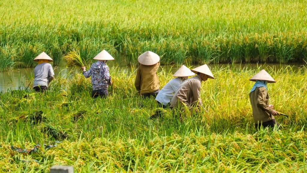 Vietnam ontpopt zich tot ‘nieuwe fabriek van de wereld’