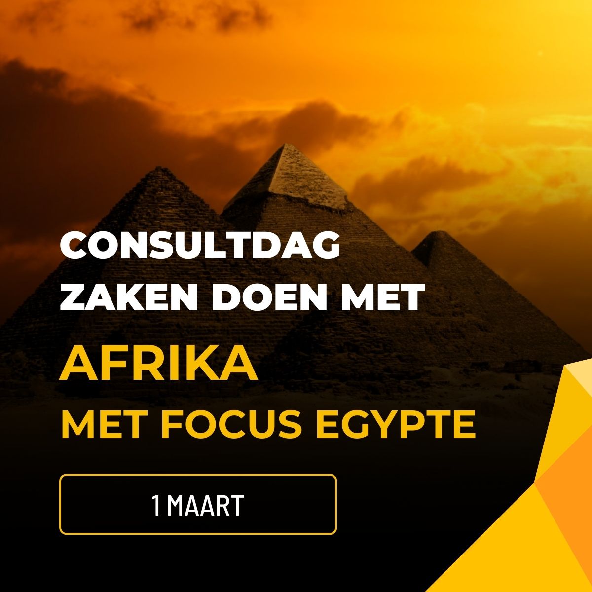 2024 03 01 WTC Leeuwarden Consultdag Afrika focus Egypte